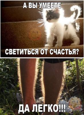 Прикрепленное изображение: 7768291.jpg